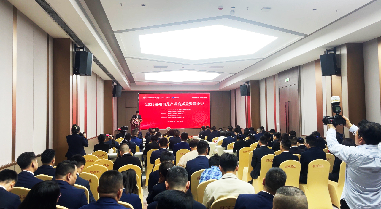 会议现场.jpg